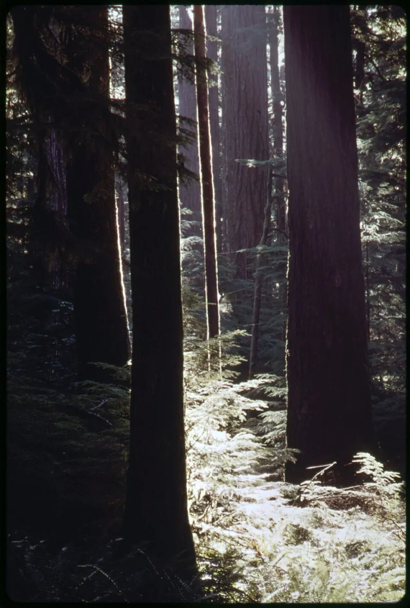 A Bureaucrat Filed the Wrong Number and Accidentally Protected 73,000 Acres of American Wilderness Forever